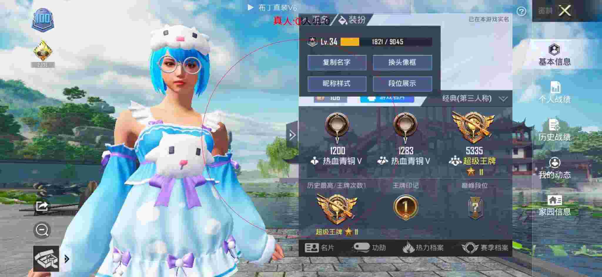 和平精英布丁直装透视 - 和平精英服装胸罩辅助预览图